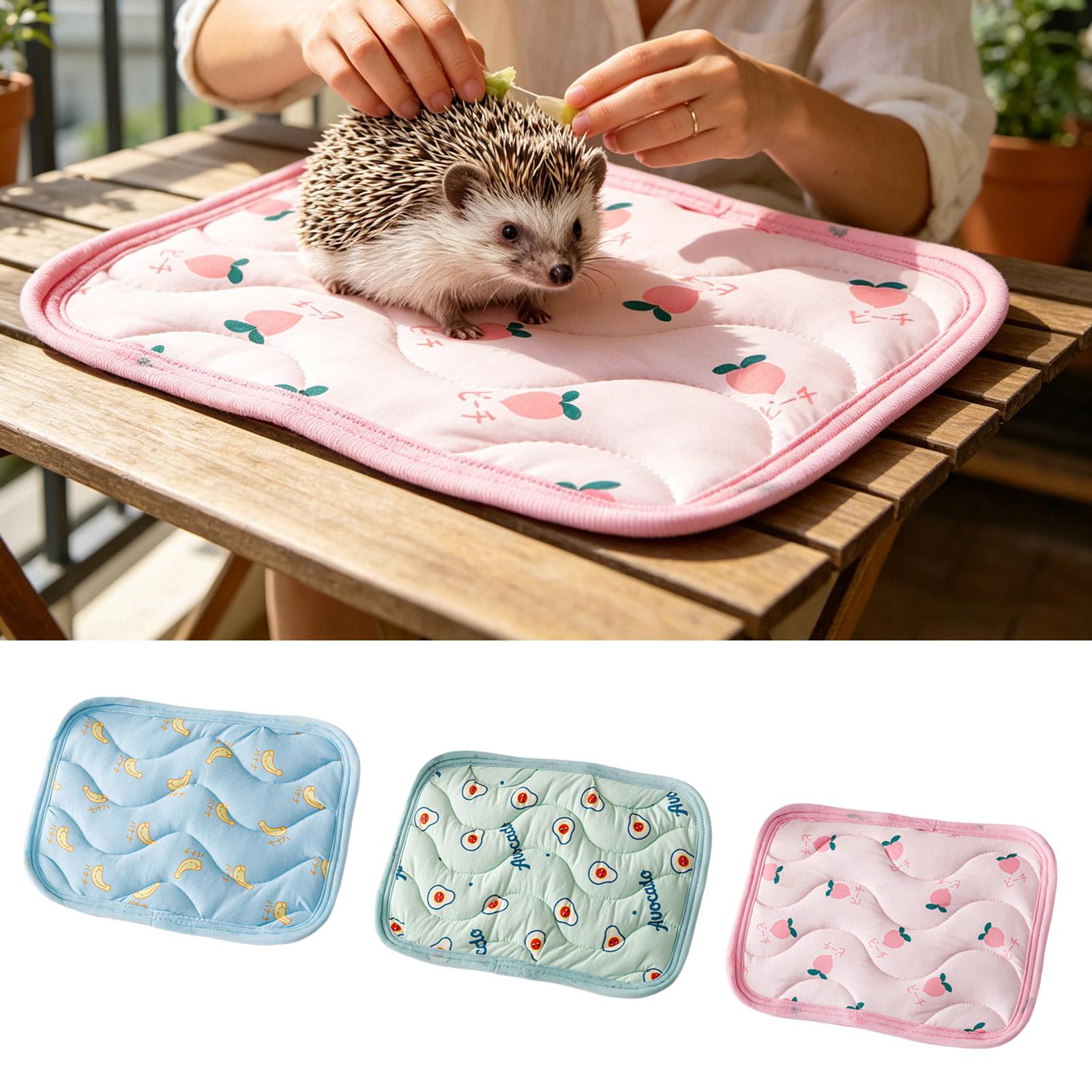 Pet Cooling Mat Washable Small - Outdoor Camping Dog Bed recension och pris