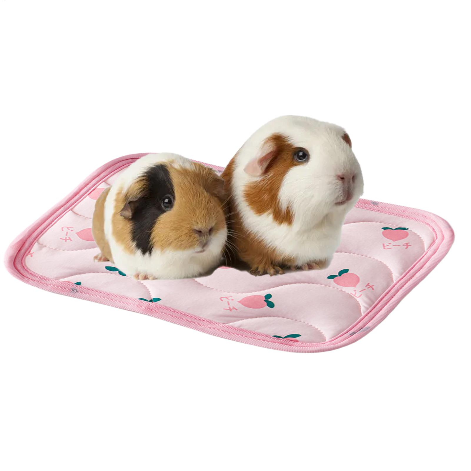 Pet Cooling Mat Washable Small - Outdoor Camping Dog Bed recension och pris