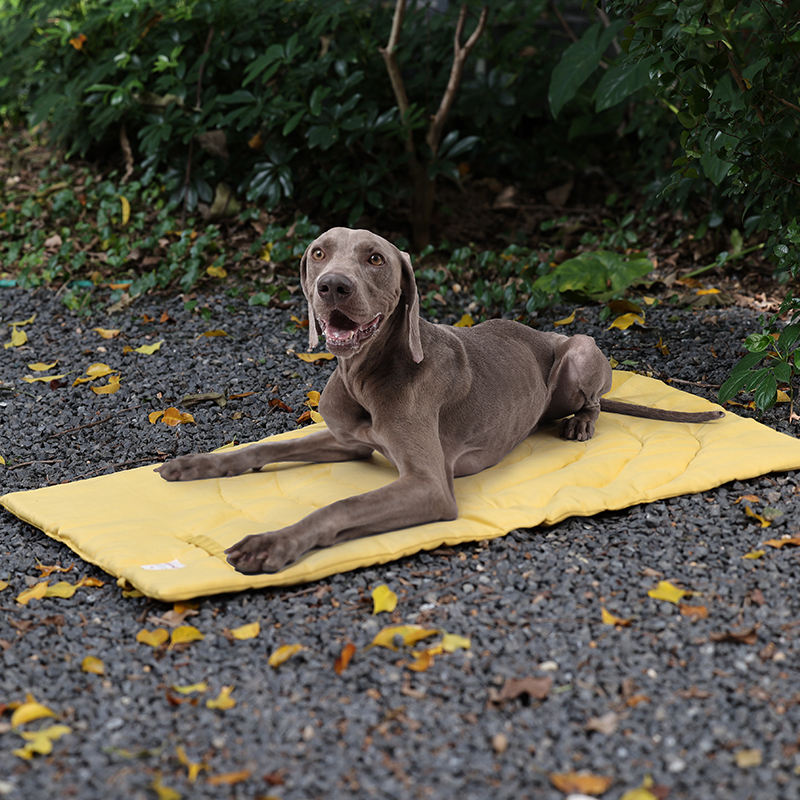 Portable Pet Mat Foldable Pet  - Outdoor Camping Rugs recension och pris