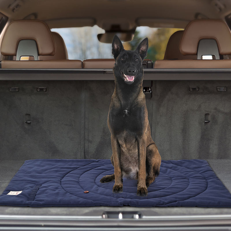 Portable Pet Mat Foldable Pet  - Outdoor Camping Rugs recension och pris