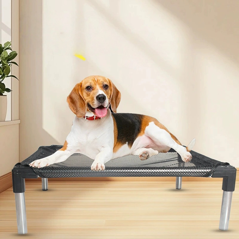 Cooling Elevated Dog Bed - Rai - Outdoor Camping Dog Bed recension och pris